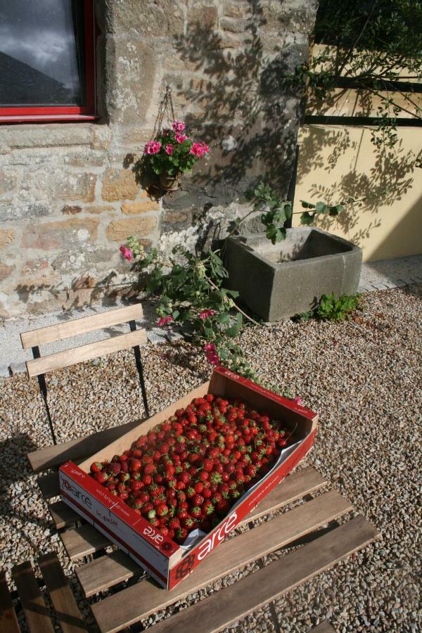 Les Gites D'Hellen Logonna-Daoulas Exterior foto